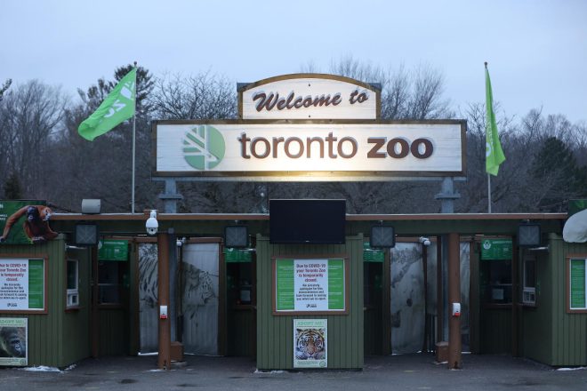 Toronto Zoo hit by a cyberattack, but don't worry, the hackers didn't go after the animals